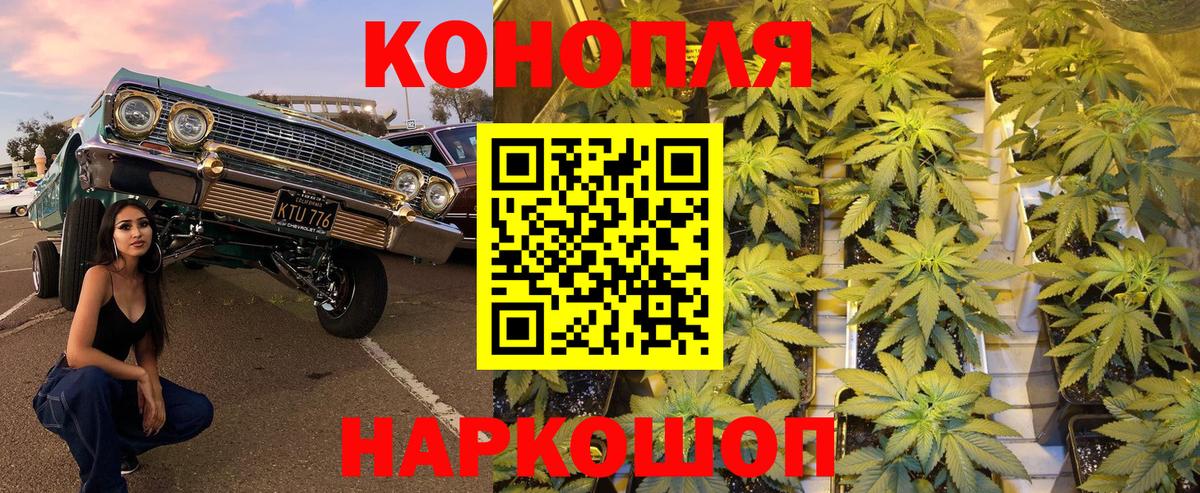 Шишки марихуана Ganja Гудермес